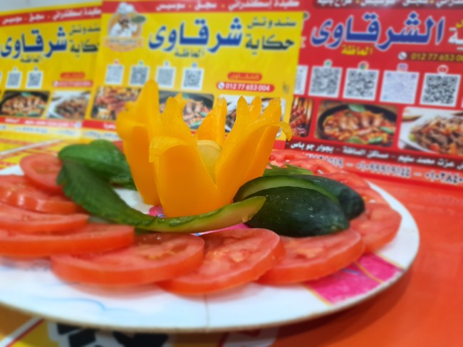 شرقاوى الماظة